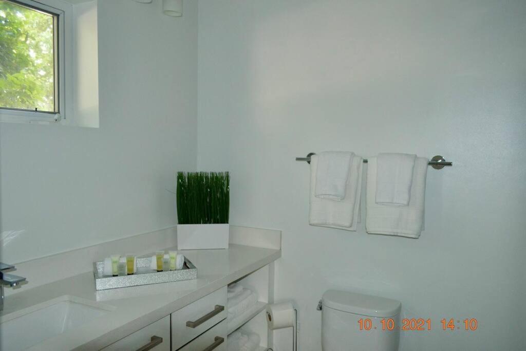 Across The Ocean Few Steps To Beach Contemporary Three Bedroom Townhouse Pompano Beach Exterior photo